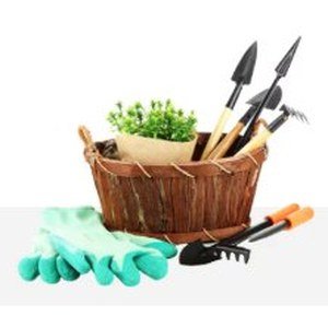 Home & Garden
