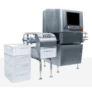 Packaging & Printing